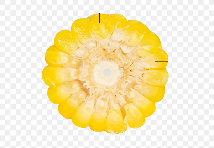 Waxy Corn Organic Food Corn Kernel Corncob, PNG, 568x568px, Waxy Corn, Corn Kernel, Corncob, Flower, Food Download Free