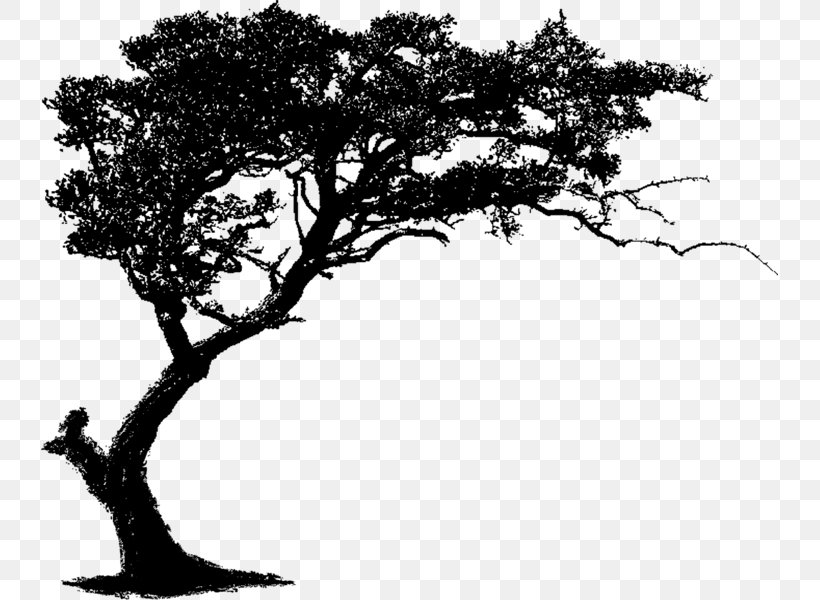 Clip Art, PNG, 737x600px, Silhouette, Art, Black And White, Branch, Mockup Download Free