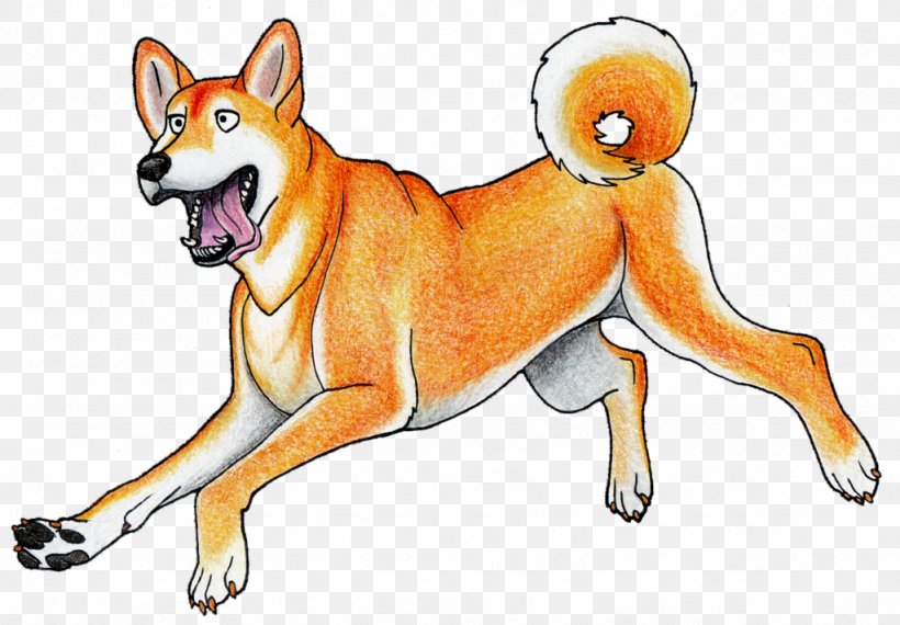 Dog Breed Shiba Inu Shikoku Dingo New Guinea Singing Dog, PNG, 1024x712px, Dog Breed, Animal, Animal Figure, Breed, Carnivoran Download Free