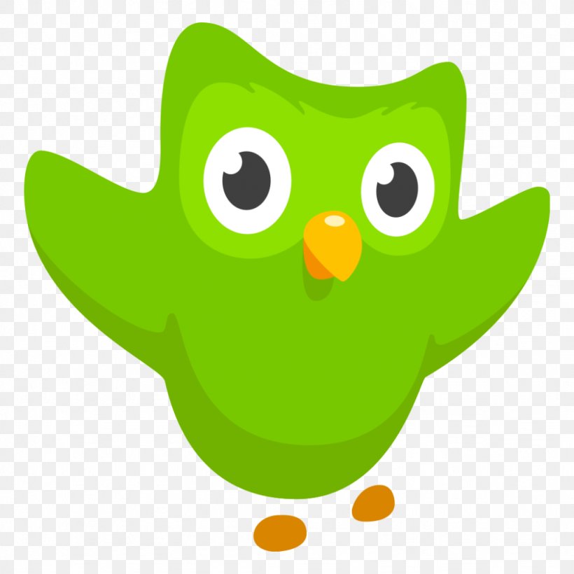 Duolingo Learning Language Education Language Acquisition, PNG, 1024x1024px, Duolingo, Beak, Bird, Cartoon, Education Download Free