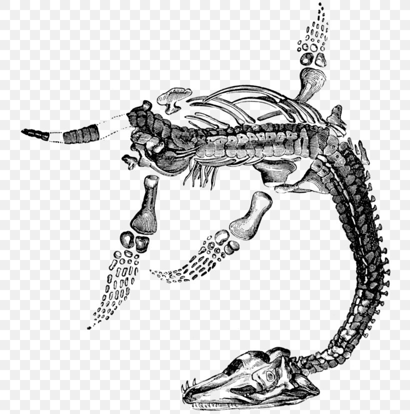 Kronosaurus Plesiosauria Plesiosaurus Liopleurodon Encyclopedia, PNG, 746x828px, Kronosaurus, Art, Black And White, Body Jewelry, Claw Download Free