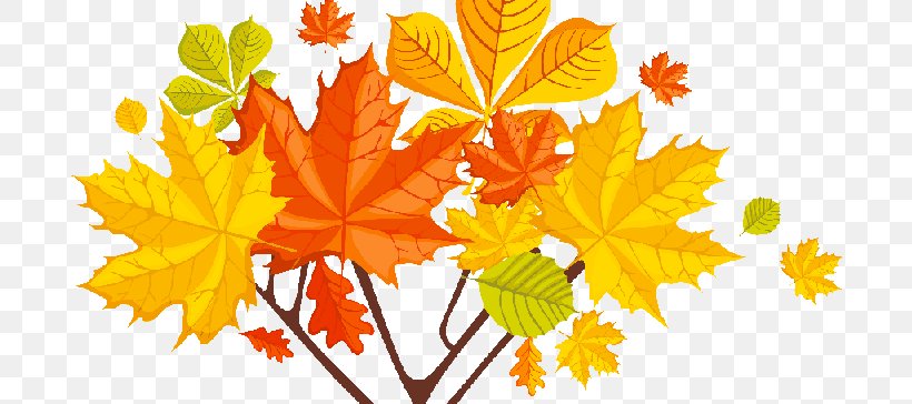 Autumn Image Desktop Wallpaper Floral Design Clip Art, PNG, 694x364px, Autumn, Art, Black Maple, Botany, Deciduous Download Free