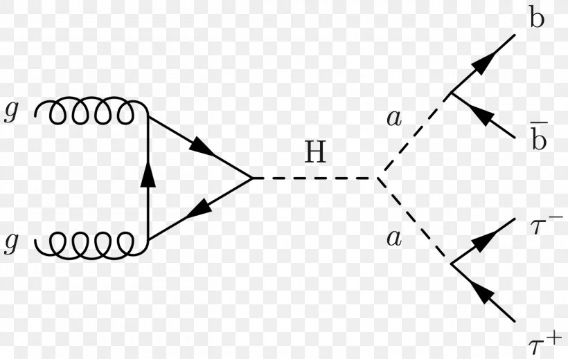 Feynman Diagram Gamma-glutamyl Hydrolase (conjugase, Folylpolygammaglutamyl Hydrolase) Triangle Propagator, PNG, 1360x862px, Feynman Diagram, Area, Black, Black And White, Brand Download Free