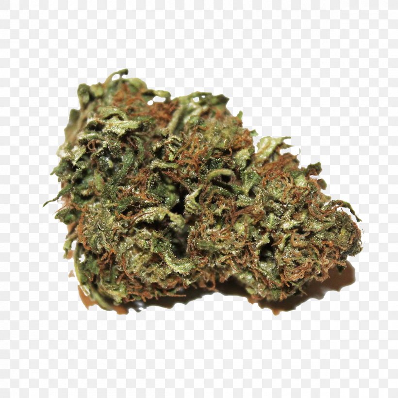 Kush Cannabis Sativa Hemp Oil Cannabidiol, PNG, 1200x1200px, Kush, Cannabidiol, Cannabis, Cannabis Sativa, Gorilla Glue 4 Download Free