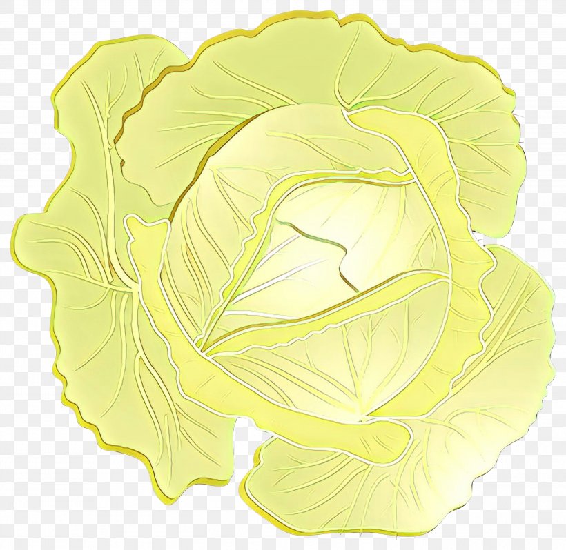 Rose Petal, PNG, 2999x2920px, Petal, Cabbage, Flower, Leaf, Plant Download Free