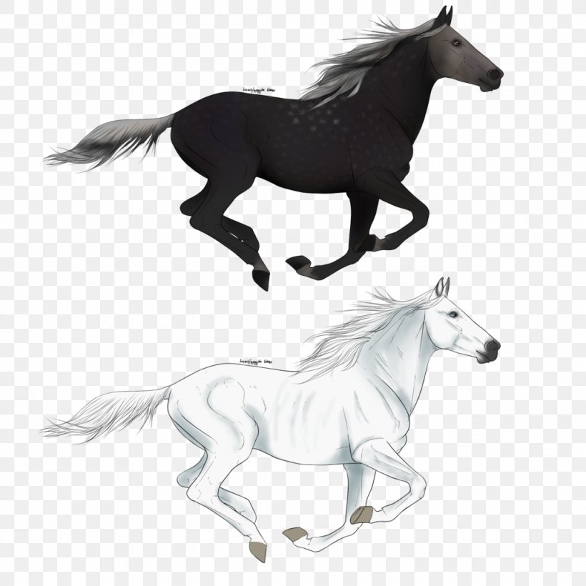 Horse Silhouette Clip Art, PNG, 1024x1024px, Horse, Black And White, Bridle, Drawing, English Riding Download Free