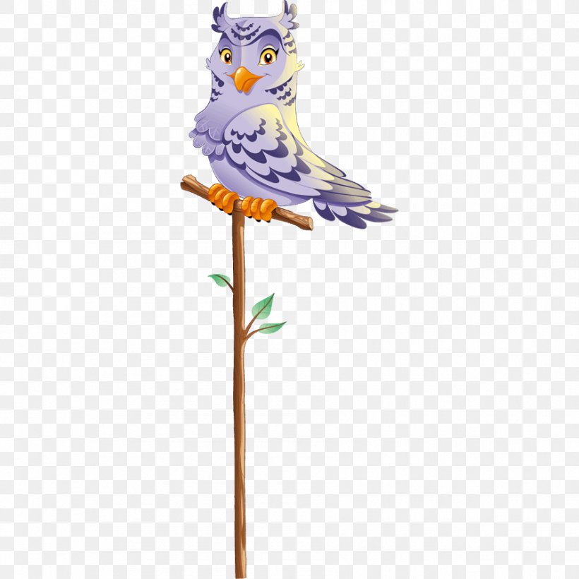Owl Parakeet Feather Beak Pet, PNG, 892x892px, Owl, Beak, Bird, Bird Of Prey, Branch Download Free