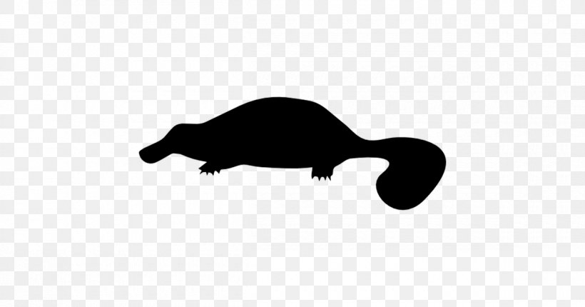 Platypus Mammal Carnivora Animal, PNG, 1200x630px, Platypus, Animal, Black, Black And White, Carnivora Download Free
