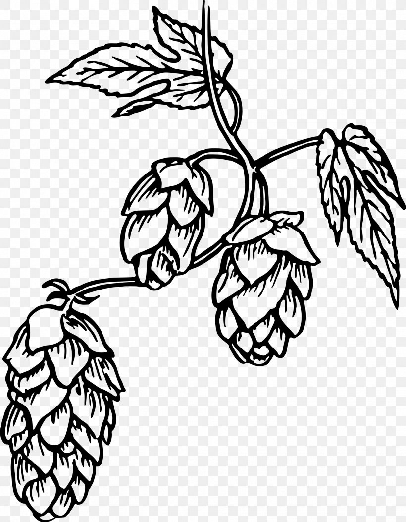Beer Hops Drawing Clip Art, PNG, 1868x2400px, Beer, Art, Artwork, Black And White, Branch Download Free