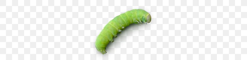 Caterpillar Agriculture Icon, PNG, 200x200px, Caterpillar, Agriculture, Angling, Asp, Information Download Free