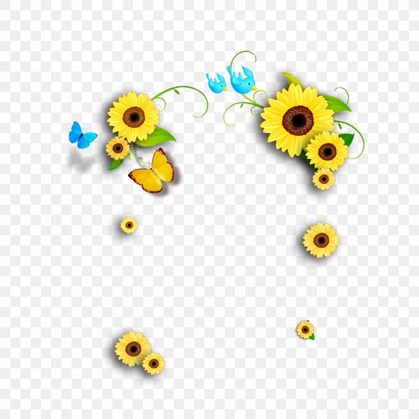 Common Sunflower Designer Computer File, PNG, 1181x1181px, Common Sunflower, Animation, Daisy Family, Designer, Floral Design Download Free