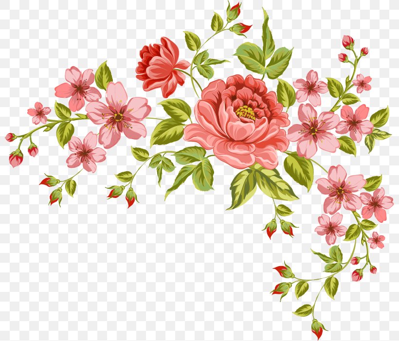 Flower Drawing, PNG, 801x701px, Flower, Art, Azalea, Blossom, Branch Download Free
