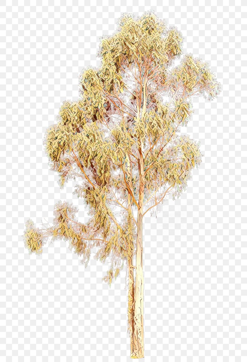 Plant Tree Grass Family Grass Flower, PNG, 722x1200px, Cartoon, Cut Flowers, Flower, Grass, Grass Family Download Free