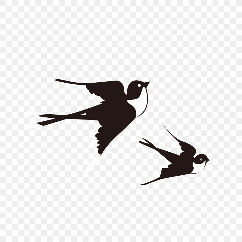 Swallow Bird Lichun, PNG, 2953x2953px, Swallow, Beak, Bird, Bird Nest, Black And White Download Free