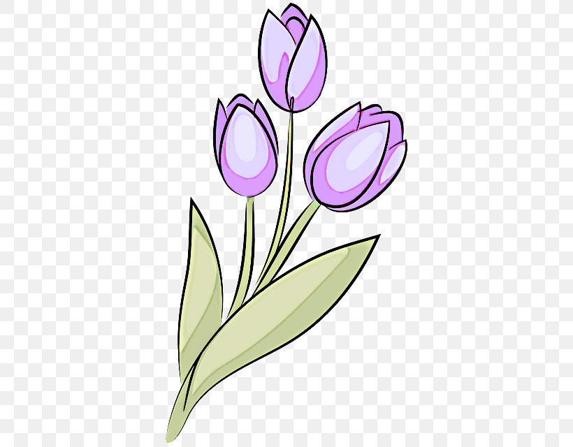 Tulip Plant Stem Cut Flowers Petal Purple, PNG, 506x640px, Tulip, Biology, Cut Flowers, Flower, Petal Download Free