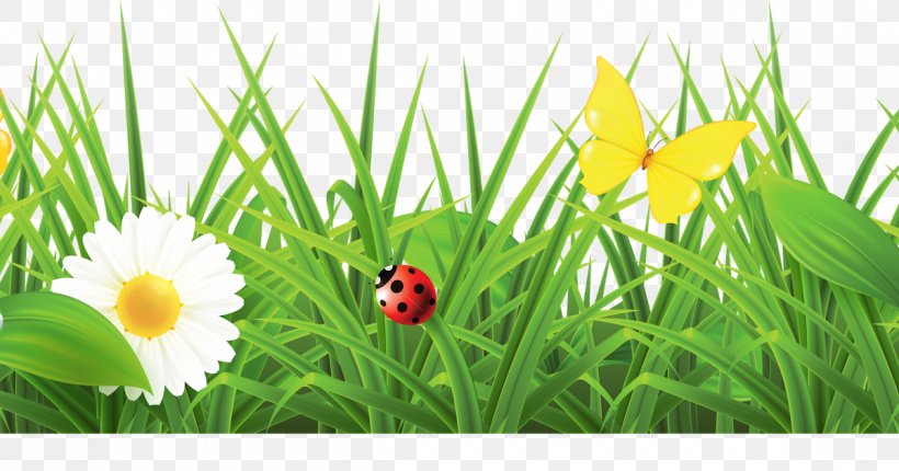 Vector Graphics Spring Flowers Galore & More Florist Illustration, PNG, 1200x630px, Spring, Beetle, Chinese New Year, Floristry, Flower Download Free