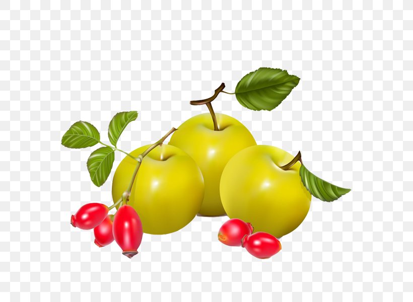 Berry Rose Hip Pear Euclidean Vector, PNG, 600x600px, Berry, Apple, Auglis, Cherry, Diet Food Download Free