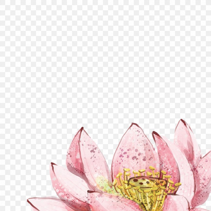 China Nelumbo Nucifera Watercolor Painting, PNG, 1500x1500px, China, Blossom, Floral Design, Flower, Flowering Plant Download Free