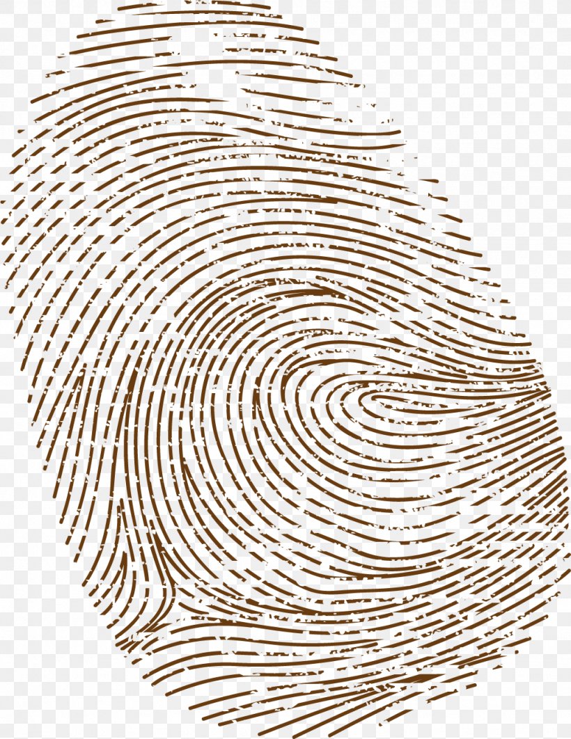 Fingerprint Download, PNG, 1024x1327px, Fingerprint, Area, Black And White, Digit, Finger Download Free