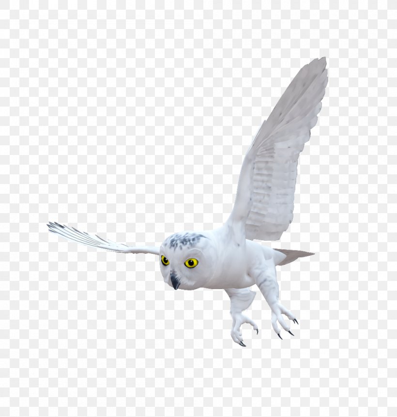 Hummingbird Owl Email Clip Art, PNG, 1000x1050px, Bird, Beak, Bird Of Prey, Email, Fauna Download Free