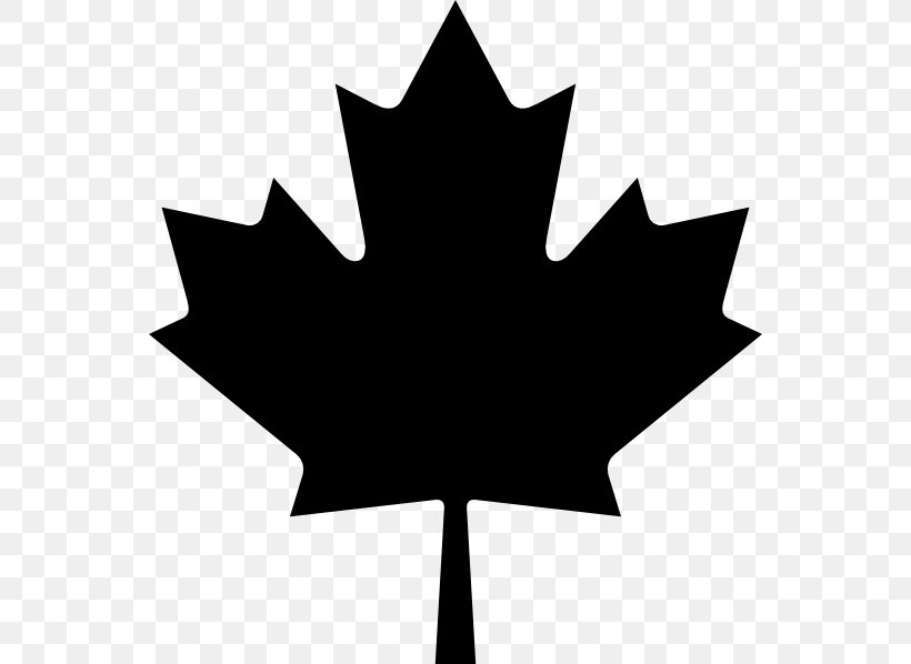 Maple Leaf Red Maple Flag Of Canada Clip Art T-shirt, PNG, 552x598px, Maple Leaf, Blackandwhite, Canada, Canadian Gold Maple Leaf, Flag Of Canada Download Free