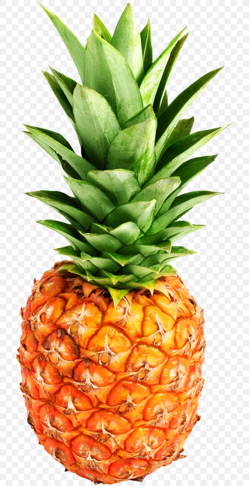 Pineapple Juice, PNG, 718x1600px, Pineapple, Ananas, Apple Iphone 8 Plus, Bromeliaceae, Food Download Free