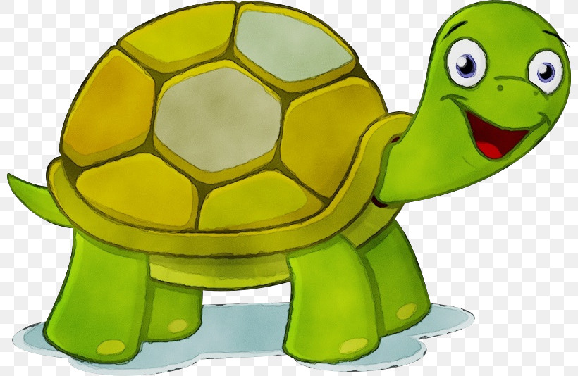 Turtles Sea Turtles Tortoise Green Sea Turtle Teenage Mutant Ninja Turtles, PNG, 800x534px, Watercolor, Green Sea Turtle, Paint, Sea Turtles, Teenage Mutant Ninja Turtles Download Free