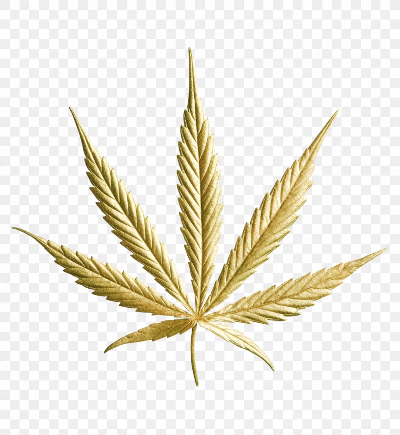 Medical Cannabis Drug Kush Hemp, PNG, 1328x1446px, Cannabis, Acapulco Gold, Cannabis Industry, Cannabis Shop, Cannabis Smoking Download Free