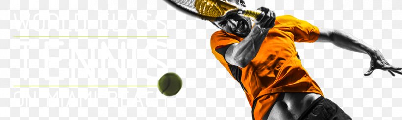 Tennis Player Sport Athlete Rogers Cup, PNG, 1140x343px, Tennis Player, Athlete, Ball, Coach, Football Player Download Free