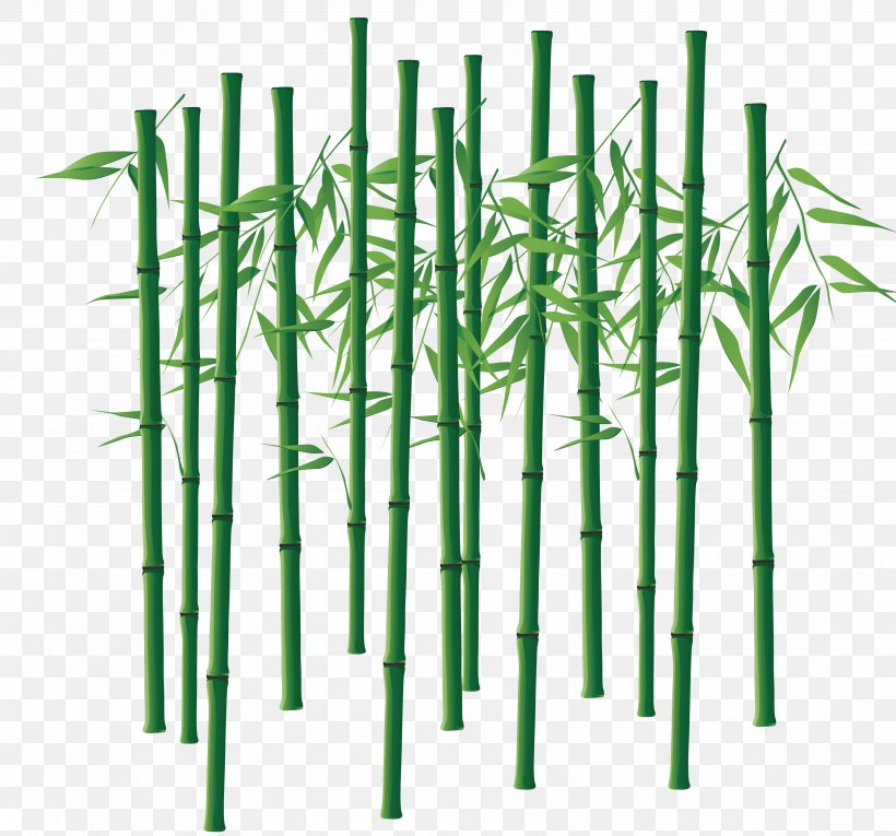 Bamboo Bamboe Computer File, PNG, 3571x3333px, Bamboo, Bamboe, Bambusa Oldhamii, Computer Graphics, Energy Download Free