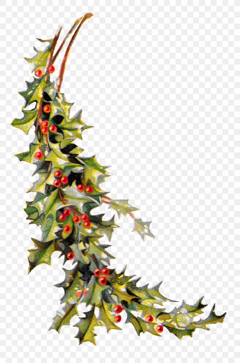 Christmas Ornament Common Holly Clip Art, PNG, 1059x1600px, Christmas, Aquifoliaceae, Aquifoliales, Branch, Christmas Decoration Download Free