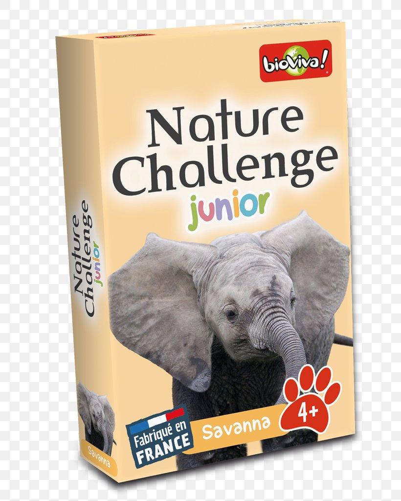 Dog Nature BioViva Game Sea, PNG, 800x1023px, Dog, Bioviva, Game, Learning, Litter Download Free