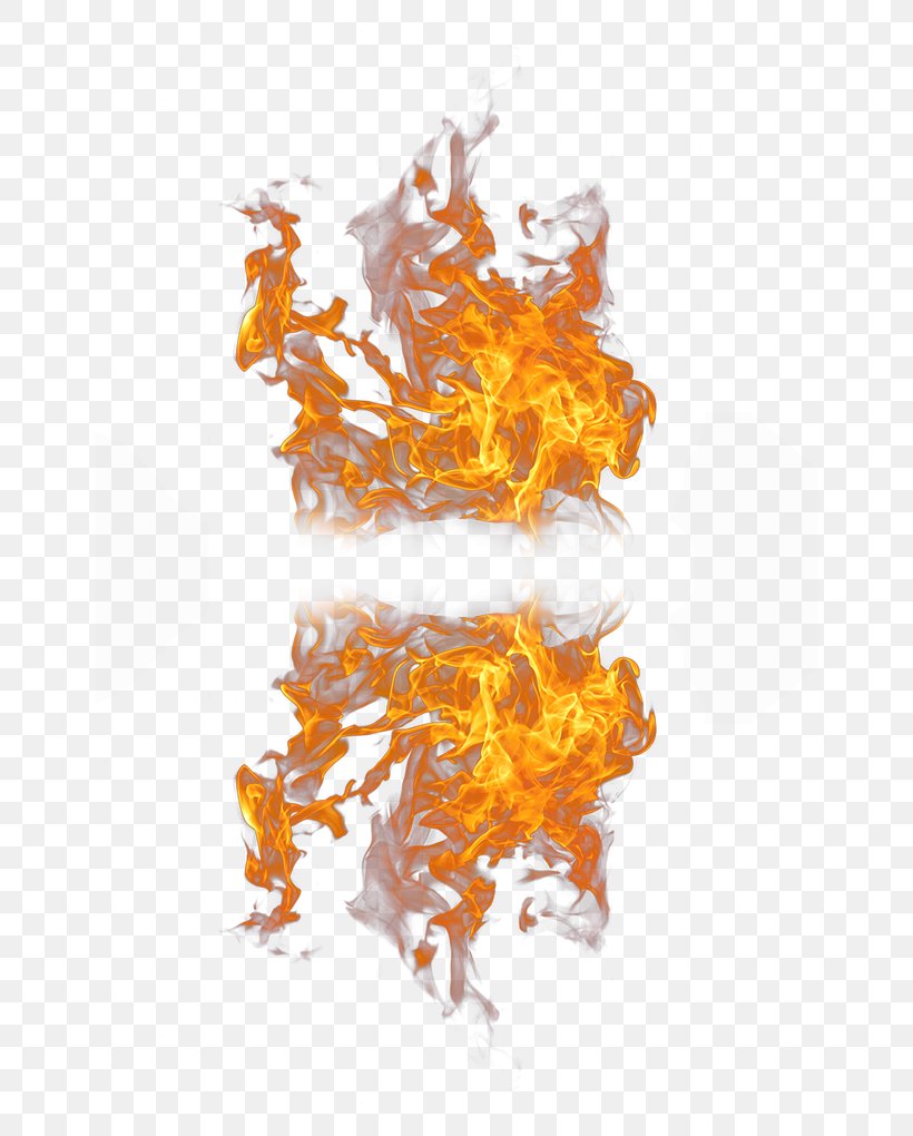 Flame Fire Combustion, PNG, 650x1020px, Flame, Combustion, Fire, Git, Google Images Download Free