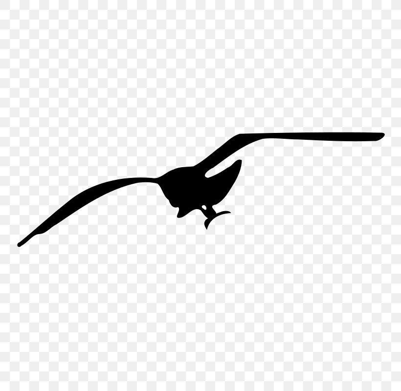 Gulls Drawing Clip Art, PNG, 800x800px, Gulls, Art, Beak, Bird, Black And White Download Free