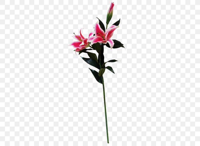 Cut Flowers Flora Flowerpot Artificial Flower, PNG, 800x600px, Cut Flowers, Artificial Flower, Flora, Flower, Flowering Plant Download Free
