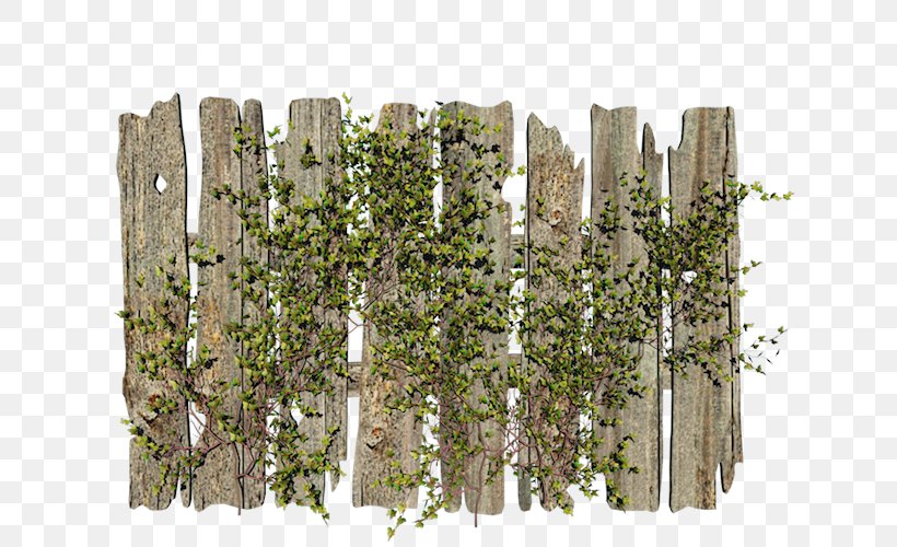 Fence Pickets Clip Art Gate, PNG, 667x500px, Fence, Chainlink Fencing, Dietes, Fence Pickets, Garden Download Free