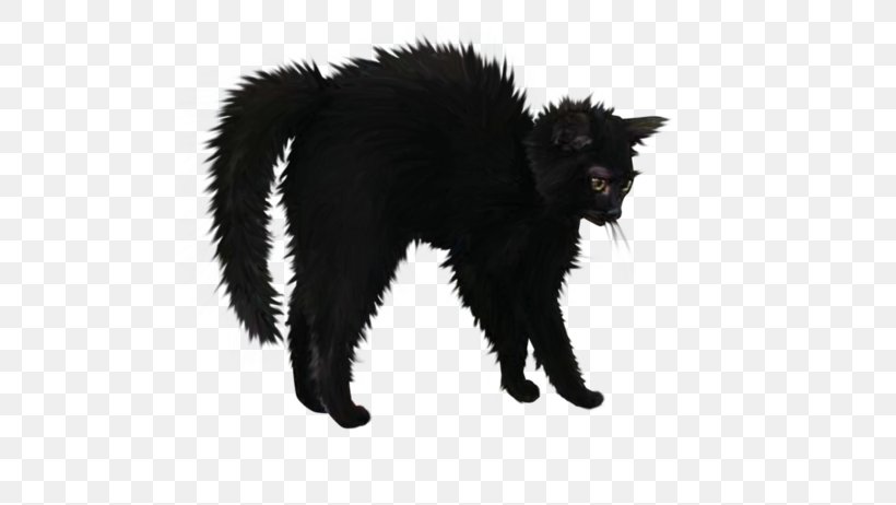 Halloween Cat Clip Art, PNG, 600x462px, Halloween, Black And White, Black Cat, Bombay, Carnivoran Download Free