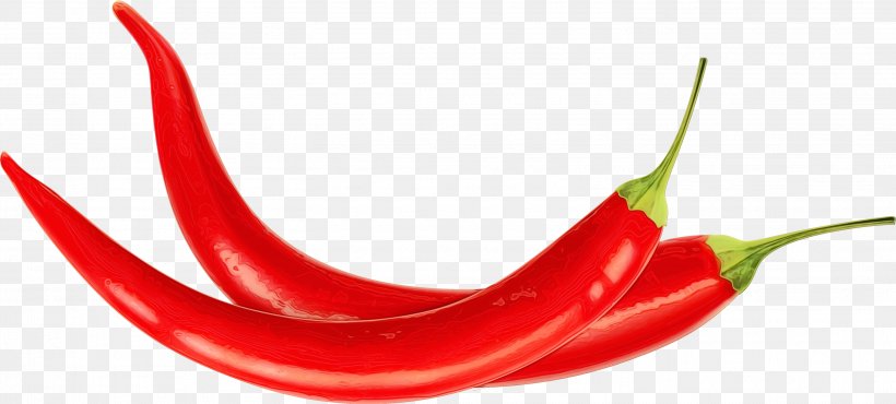 Mouth Cartoon, PNG, 2935x1325px, Watercolor, Bell Peppers And Chili Peppers, Birds Eye Chili, Capsicum, Cayenne Pepper Download Free