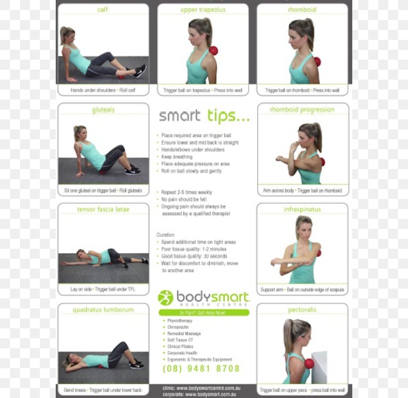 Nape Shoulder Human Back Body Massage, PNG, 800x800px, Nape, Arm, Body, Goat, Human Back Download Free