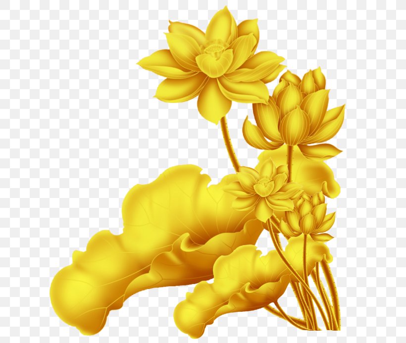 Nelumbo Nucifera Clip Art, PNG, 640x693px, Nelumbo Nucifera, Art, Commodity, Floral Design, Flower Download Free