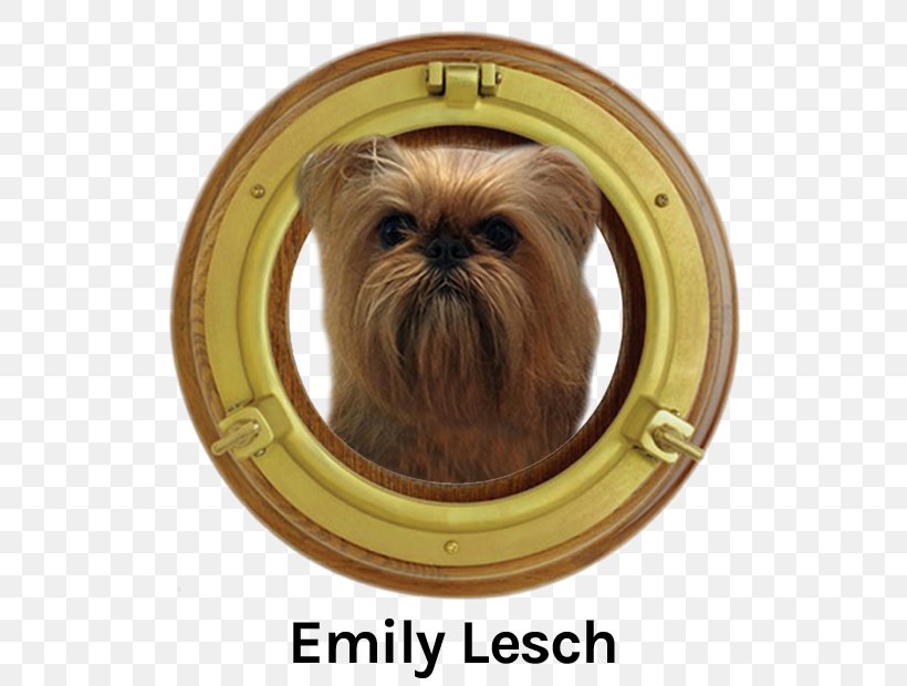 Porthole Shih Tzu Ship Window Boat, PNG, 640x620px, Porthole, Boat, Brass, Carnivoran, Cleat Download Free