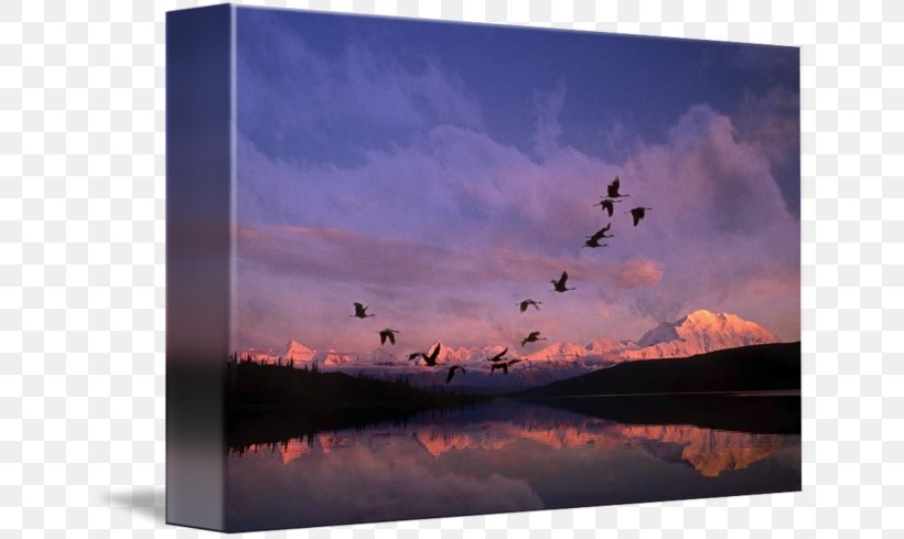 Wonder Lake Denali Crane Poster Picture Frames, PNG, 650x489px, Wonder Lake, Alaska, Computer, Crane, Dawn Download Free