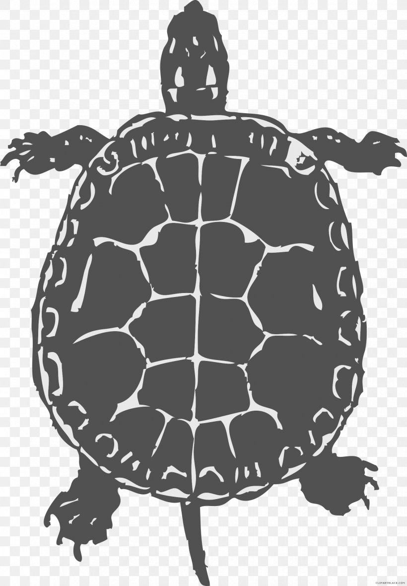 Common Snapping Turtle Reptile Sea Turtle Clip Art, PNG, 1736x2500px, Turtle, Black And White, Box Turtles, Common Snapping Turtle, Drawing Download Free