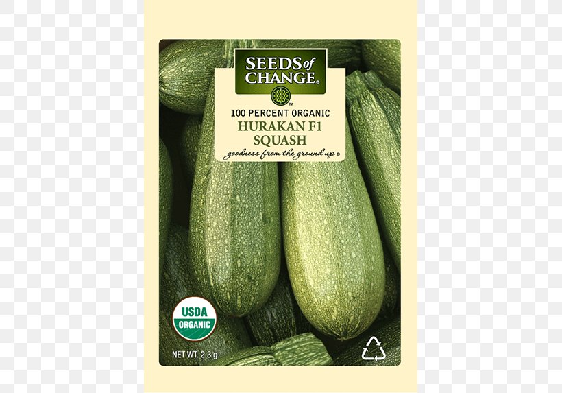 Cucumber Organic Food Summer Squash Zucchini Winter Squash, PNG, 573x573px, Cucumber, Bean, Butternut Squash, Cucumber Gourd And Melon Family, Cucumis Download Free