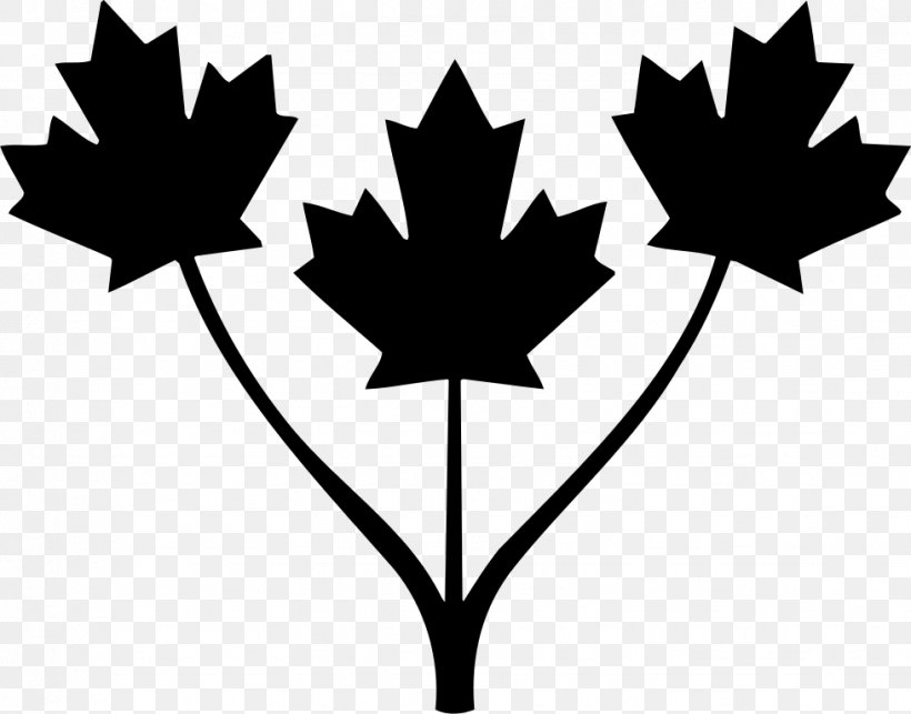 Flag Of Canada Illustration Stock Photography, PNG, 978x768px, Canada, Blackandwhite, Flag, Flag Of Canada, Flower Download Free