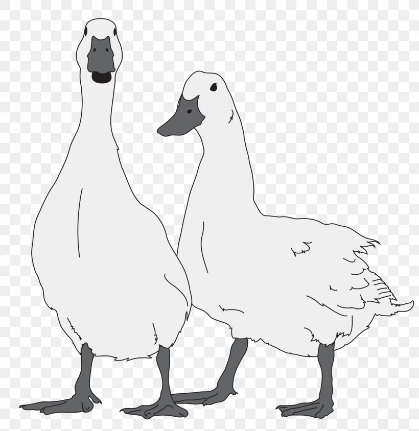 Goose Bird Duck, PNG, 2000x2060px, Goose, Anatidae, Artwork, Beak, Bird Download Free