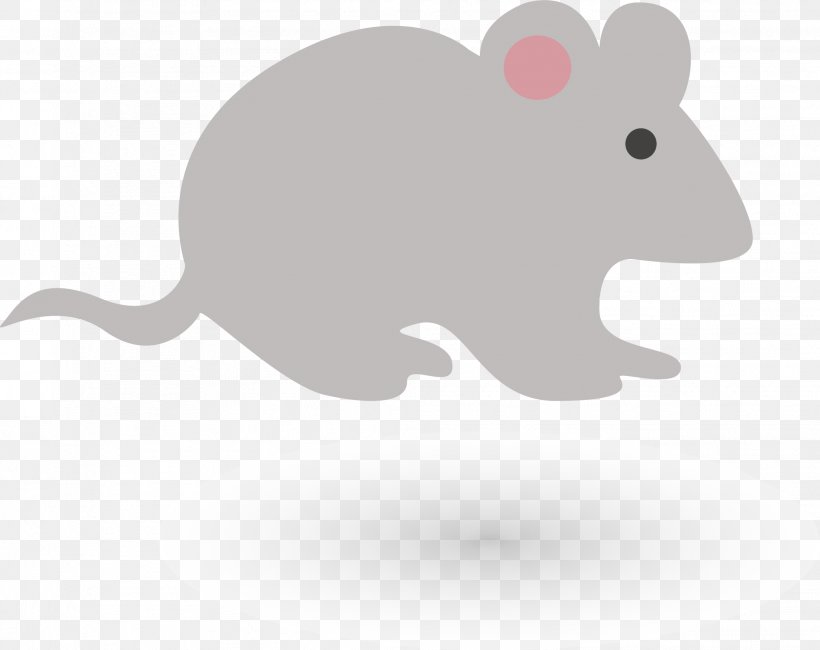 Rat Euclidean Vector Drawing Illustration, PNG, 2018x1601px, Rat, Carnivoran, Computer Mouse, Diagram, Drawing Download Free