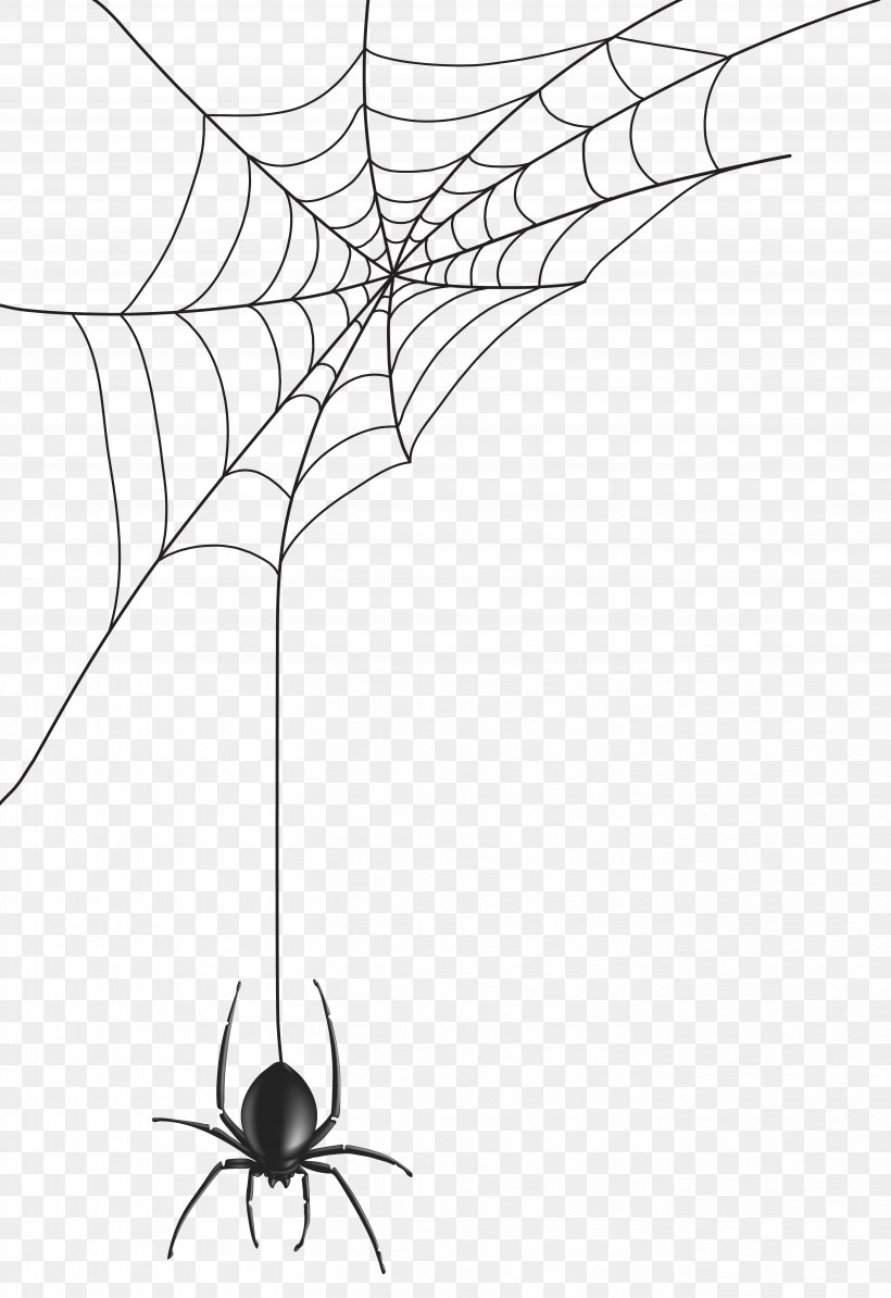 Spider Web Clip Art, PNG, 5491x8000px, Spider Man, Area, Black And White, Branch, Flora Download Free