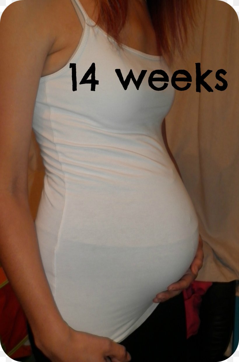 Abdomen Week 14 Of Pregnancy Fetus, PNG, 1059x1600px, Watercolor, Cartoon, Flower, Frame, Heart Download Free