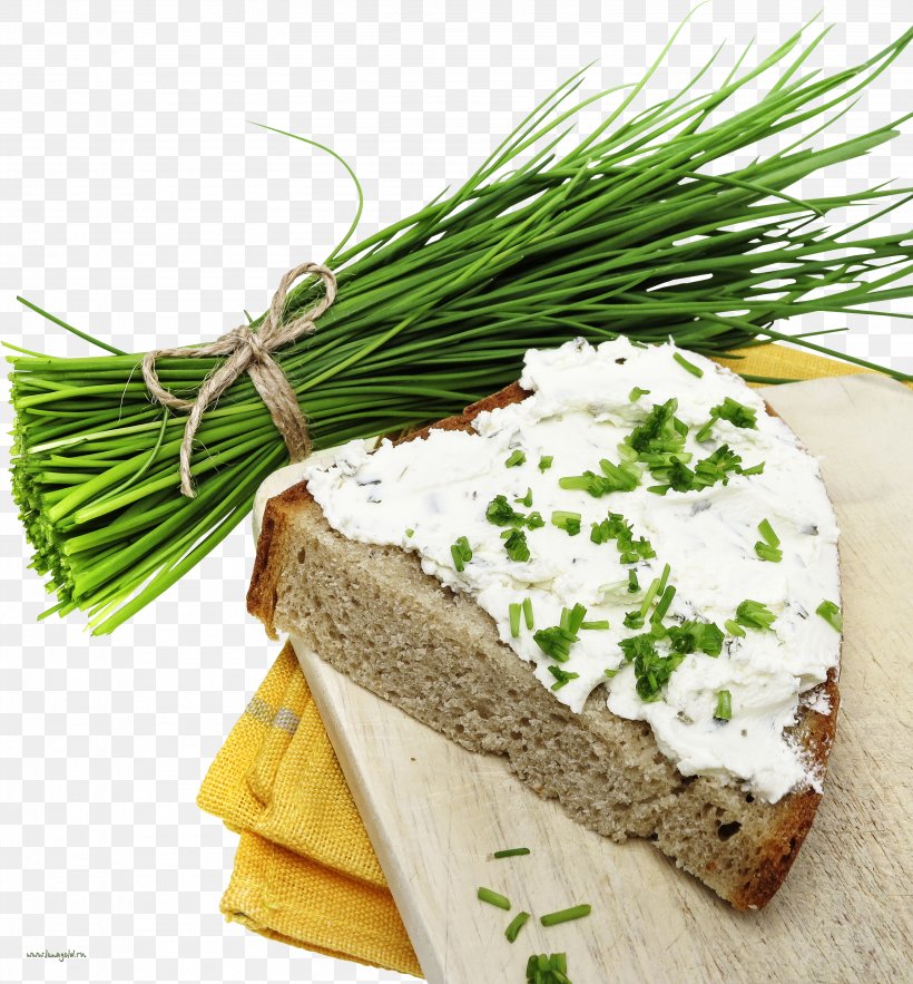 Butterbrot Vegetarian Cuisine Herb Cheese Food, PNG, 3228x3479px, Butterbrot, Bread, Cheese, Condiment, Dairy Product Download Free